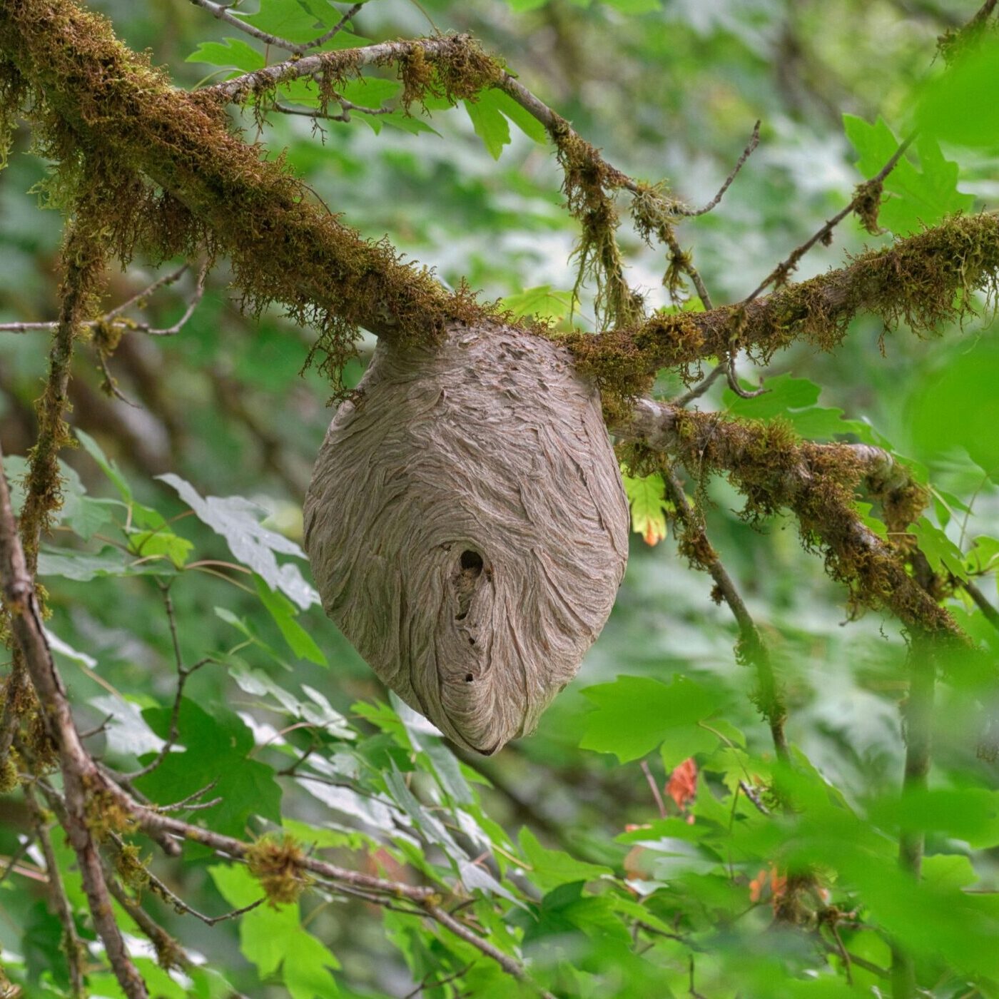 Townsend Walton 2Z6lOXkVaDw Unsplash Scaled E1774902571515