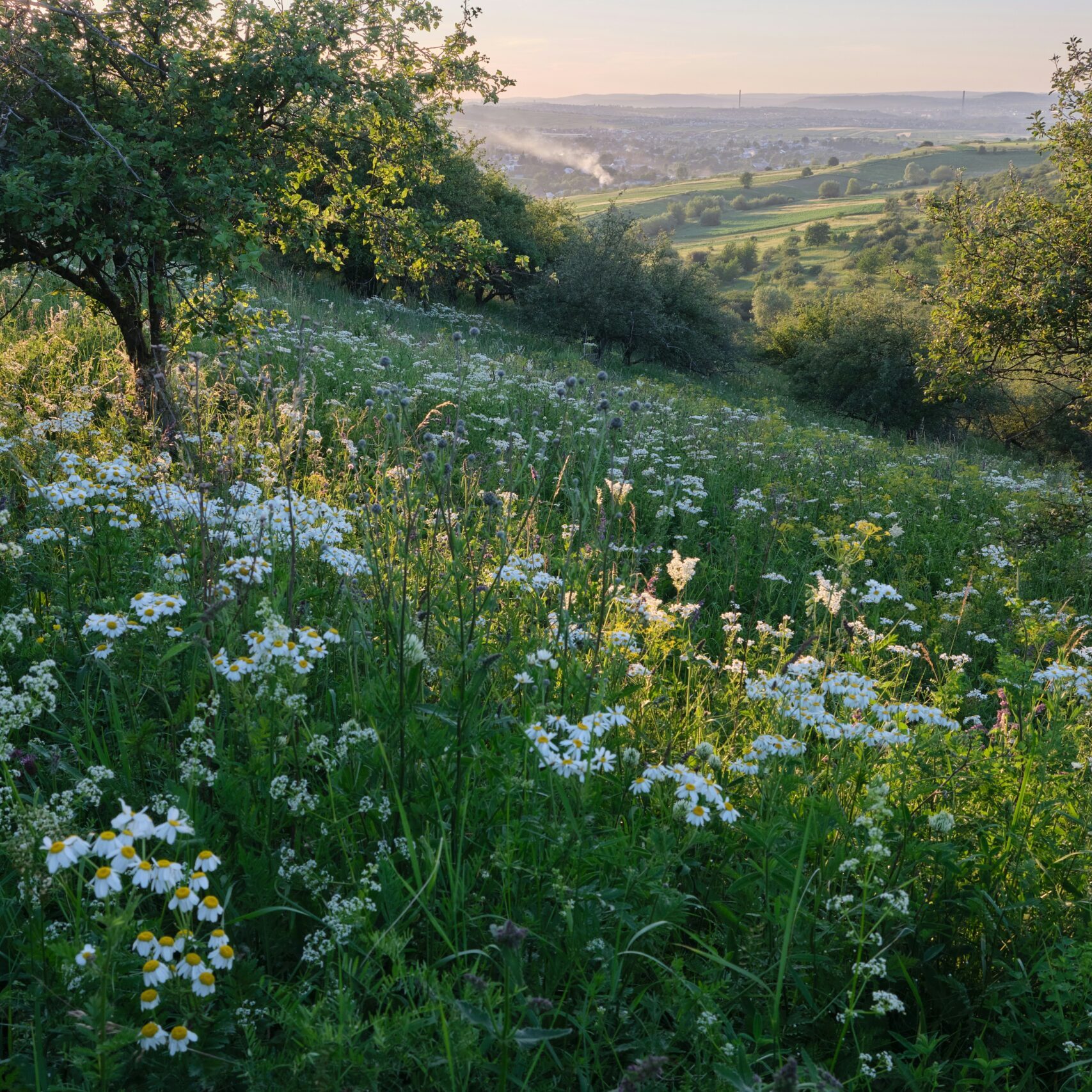 Daniel Pintilei CPaGBl8R 1M Unsplash Scaled E1775605915984